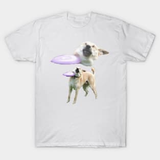 Frisbee Dog 1 T-Shirt